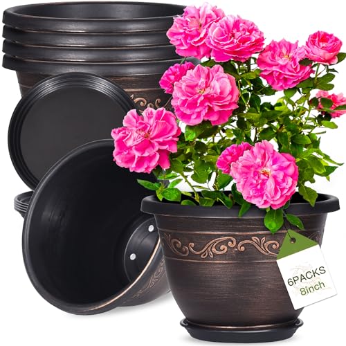 Plastic-Plant-Flower-Planters-8 Inch With Drainage Hole & Saucer, 6 Packs Lightweight Small Resin Flower Pot Indoor Outdoor, Retro Antique Imitation Decorative Garden Containers Sets For Houseplants - color: 6 Pack-8 Inch