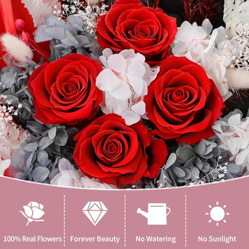 Lewondr Flower for Delivery, Preserved Flowers Bouquet, Red Rose Bouquet with Gift Box, Real Long-Lasting Forever Birthday Flowers Gifts for Wife Girlfriend Mothers Day Anniversary Proposal, White-Red - color: White-Red