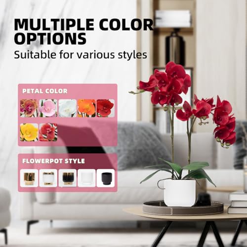 CXGS Orchids Artificial Flowers Real Touch Fake Flowers in Ceramic Pot 20" Red Faux Orchid Plant Lifelike Silk Phalaenopsis for Centerpiece Hotel Home Indoor Decor - color: Red- White Vase