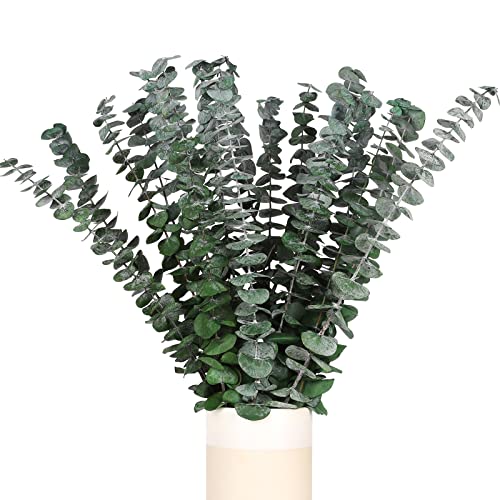Real Dried Eucalyptus Stems, 20PCS Preserved Eucalyptus Plant 17inch Fresh Eucalyptus Greenery Plant for Vase Home Shower Wedding Festival Home Decoration - color: Green, size: 20Pcs Eucalyptus Stems