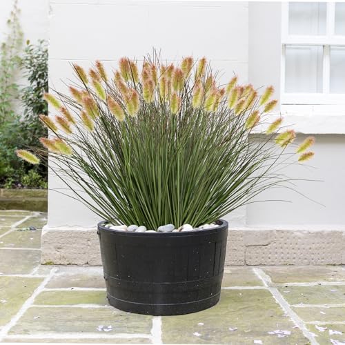 Ttranewsoo Artificial Grass, Fake Grass, Artificial Shrubs, Wheatgrass Cattails Fake Grass Decorations, Artificial Plants, Ornamental Grass, Outdoor Fake Grass, Green Leafy Decorations (12PCS) - color: Green12