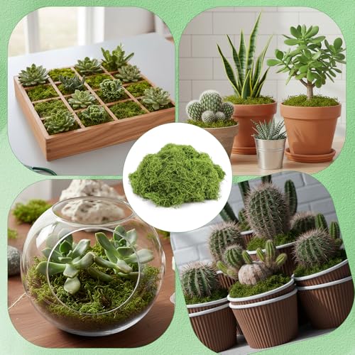 Fake Moss for Crafts 39" x 39" Faux Moss Mat with Base Fabric for Plants and 3.5 oz/ 100g Decorative Artificial Moss Green Faux Grass for Planters Crafts DIY Fairy Garden(Light Green) - color: Light Green