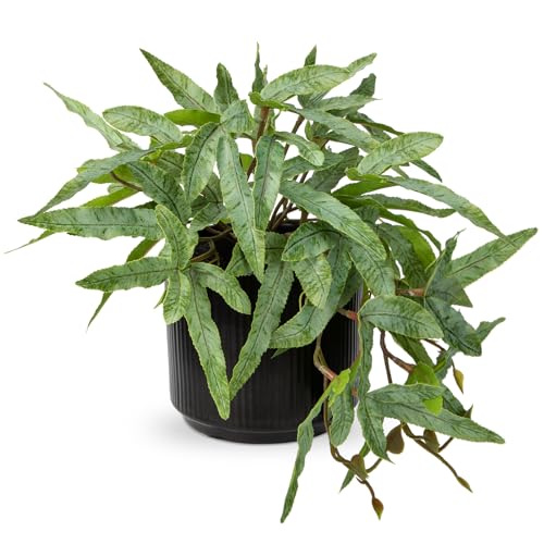 Briful Faux Plants Indoor 9'' Artificial Potted House Plant with Black Ceramic Pot Fake Pteris Cretica Fern Plant for Home Office Room Desk Shelf Decor Indoor - color: Fake Plant#1