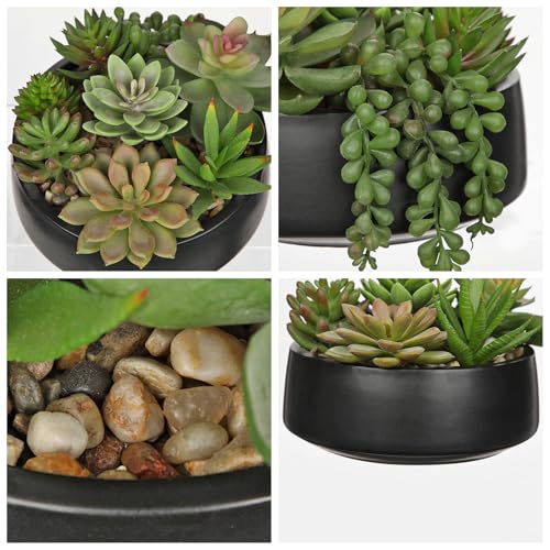 DILATATA Artificial Succulent Plants in Pot 5.5 Inch Fake Succulents Arrangement Potted Plant in Black Ceramic Planter Bowl for Home Office Desk Shelf Living Room Bedroom Bathroom Decor - color: Black Ceramic#style 2