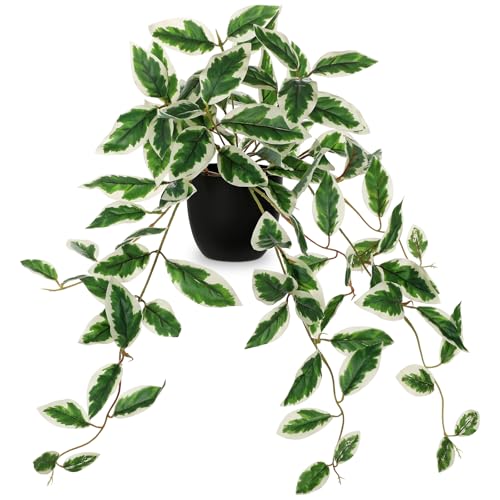 DILATATA Fake Plants Artificial Potted Plants 20 Inch Faux Peperomia Ivy Vine Plant Hanging Plant for Home Office Desk Shelf Indoor Outdoor Decor - color: Peperomia-green&white