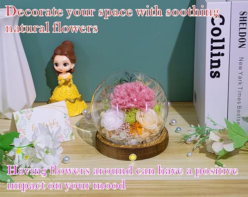 Valley of Rain & Forest Long-Lasting Real Flowers, Unique Floral Gift for You to Send Love for All Occasions, for Indoor Decoration (Pink Carnation, White & Yellow Roses arrangement) - color: Pink Carnation, White Rose, Yellow-Champagne Rose