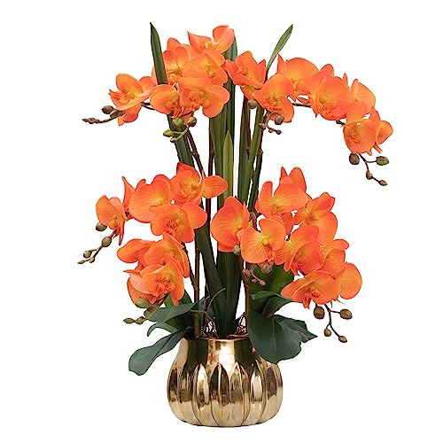 CXGS Artificial Orchid Flower Real Touch Faux Orchids in Ceramic Vase Large 22.9'' Fake Flowers Orange Phalaenopsis Floral for Home Indoor Decor - color: Orange- Golden (Large Pot)