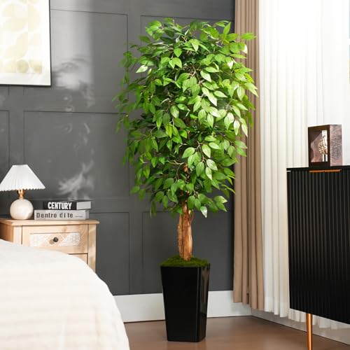 6ft Ficus Artificial Tree with 3 Natural Curved Trunks, 74" Tall Lush Faux Tree for Home Decor Indoor, Green Lifelike Fake Ficus Tree with Black Planter Pot - color: Black Planter, size: 6ft