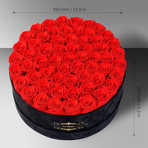 Gifts for Women – NATROSES 60 Preserved Roses in Luxury Black Velvet Box, Preserved Flowers for Delivery Gift for Her, Elegant Rose for Birthday, Mother’s Day, Christmas (Red) - color: Red, size: 60 Roses