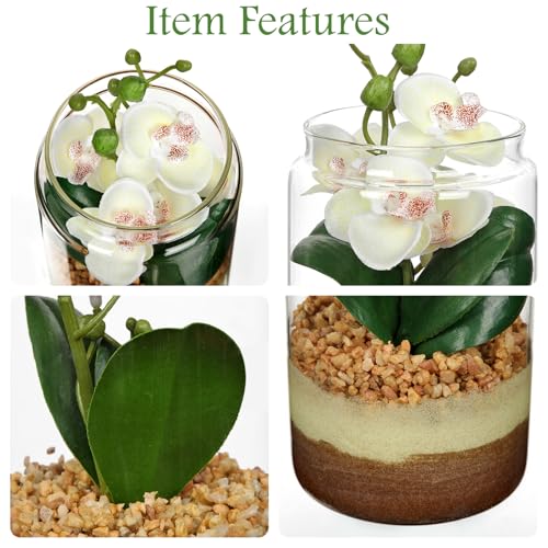 White Orchids Artificial Flowers with Vase, Small Faux Orchid Arrangement Fake Orchids Plant in Terrarium Jar Small White Orchid Centerpieces for Kitchen Dining Room Tables Bathroom Nightstand Decor - color: White +Beige &Brown Sand