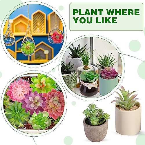WILLBOND 50 Pcs 50 Pcs Bulk Mini Artificial Succulents Plants Assorted Unpotted Realistic Plants Fake Textured Succulent Picks Realistic Plastic Cactus Stems for Garden Home Decor (Large Style) - color: Large Style