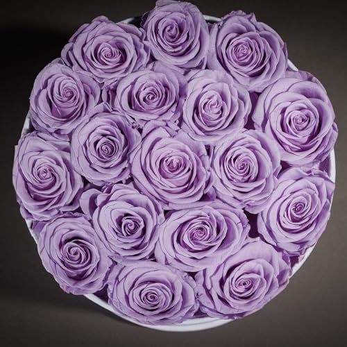 Prifroti 17 Flowers in a Luxury Suede Box, Birthday Gifts for Women, Preserved Flowers, Mothers Day Roses Gift for Mom, Lavender - color: Lavender, size: 17 Roses