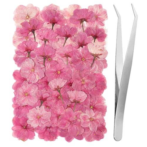 101 PCS Pressed Cherry Blossom for Crafts, Pink Dried Pressed Flowers for Resin DIY Jewelry Making Cake Card Scrapbook Decor, Dried Sakura Flowers for Soap Candle Making - size: Cherry
