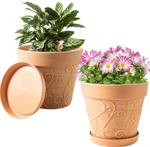 Melphoe Plant Pots Indoor with Drainage & Saucer, 2Pack 10 inch Flower Pots Outdoor Planters for Indoor Plants Garden Home Decor Cactus Succulent, Rigid Plastic (Imitation-Terracotta) Vine-Embossed - color: Terracotta Color, size: 10''