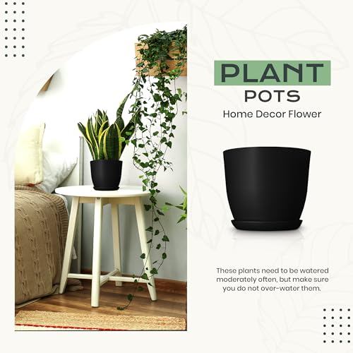 Utopia Home - Plant Pots Indoor with Drainage - 7/6.6/6/5.3/4.8 Inches Home Decor Flower Pots - Pack of 10 Plastic Planters for Indoor Plants, Cactus, Succulents Pot - Black - color: Black, size: Pack of 10