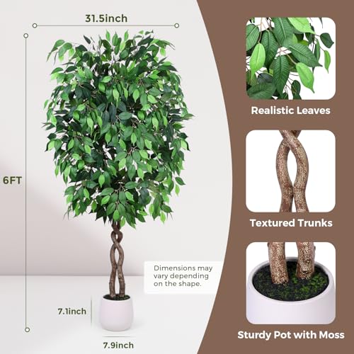 Jocoevol 6FT Artificial Ficus Tree, Tall Faux Trees Indoor with White Planter, Dried Moss, Natural Silk Leaves & Trunk, Fake Plants for Home Living Room Office Corner Decor Housewarming Gift - color: Green, size: 6ft