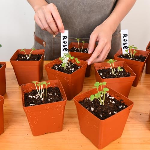 June Fox 100 Pack Red Square Nursery Pots with Drainage Holes 3.3 Inches Flexible Plastic Seedling Pots Square Pots for Plants, Succulent, Flower, with Plant Labels - color: Red