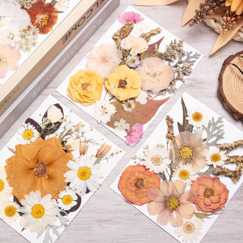 90pcs Boho Pressed Flowers Bulk, Vintage Dried Flower Leaves, Natural Fall Pressed Dried Flowers with Tweezer for DIY Crafts Resin Mold Candles Cake Bridal Scrapbooking Supplies - size: Boho