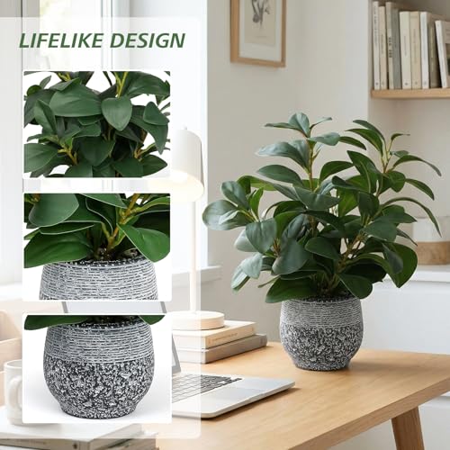 SHOHAYTO Artificial Plants for Home Decor - 13.2 Inch Fake Ficus Tree in Cement Planter, Real Looking Potted Faux Plants for Office Desk, Kitchen Shelf, Bookshelf & Indoor Decor - color: Green Artificial Plants
