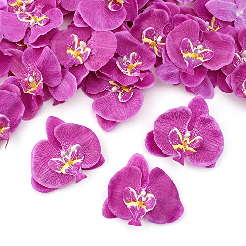 50Pcs Orchid Petals Artificial Orchid Flower Heads Faux Silk Phalaenopsis Butterfly Flower Heads for DIY Craft Home Wedding Party Decorations (50pcs Purple)… - color: Purple, size: 50Pcs