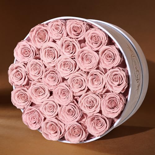 Prifroti 27 Flowers in a Luxury Suede Box, Birthday Gifts for Women, Preserved Flowers, Mothers Day Roses Gift for Mom, Dusty Rose - color: Dusty Rose, size: 27 Roses