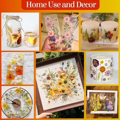 85Pcs Dried Flowers for Crafts, Natural Pressed Flowers for Crafts Real Dried Pressed Flowers Dry Leaves in Orange & Yellow for Resin, DIY Art, Scrapbook, Jewelry, Candle & Soap Making w/ Tweezer - color: Orange & Yellow 85pcs