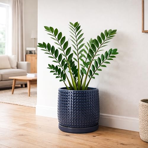 D'vine Dev 8 Inch Ceramic Beaded Stoneware Planter Pot - Flower Pot with Drainage Holes and Saucers for Indoor Succulent Plants or Flowers, Midnight Blue, 27-C-Q-3 - color: Midnight Blue, size: 8.8 Inch