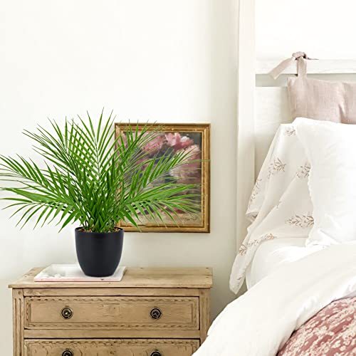 Briful Fake Plant 15’’ Artificial Palm Plant in Matte Black Pot Realistic Faux Tropical Palm Tree Houseplant for Home Indoor Living Room Tabletop Bedroom Decorations - color: 15'' Tall Black