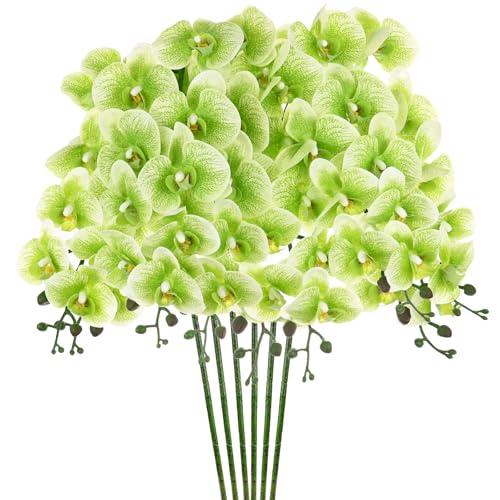 M METERXITY 6-Pack Artificial Orchid Flowers 9 Large Petals 37 Inch Faux Phalaenopsis Silk Bouquets Real Touch Dark Green Fake Orchids for Home/Wedding/Christmas/Party/Garden Office - color: Dark Green