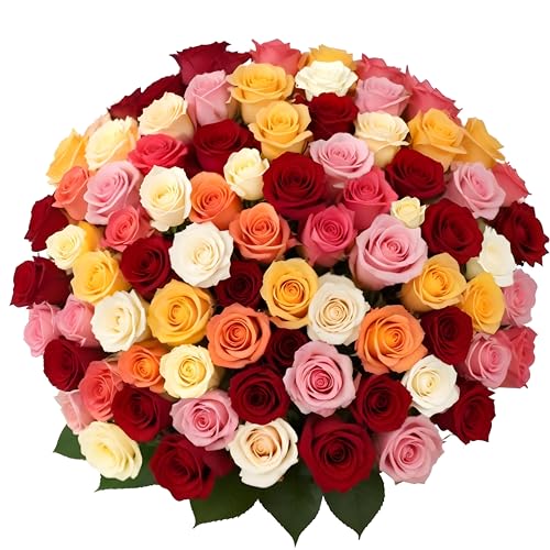 100 Rainbow Roses Assorted Mixed Color | Bulk Roses by Arabella Bouquets | Real Fresh Flowers for Delivery, Gift for Birthday, Women, Congratulations, Anniversary, Mother's Day - color: Assorted, size: 100 Stems