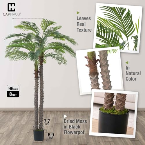 CAPHAUS 8FT Artificial Phoenix Palm Tree, Double Stem Faux Palm with Black Pot, Realistic Fake Plant for Indoor Outdoor Home Office Patio Décor, Low Maintenance Large Artificial Palm Tree - size: 8 FT
