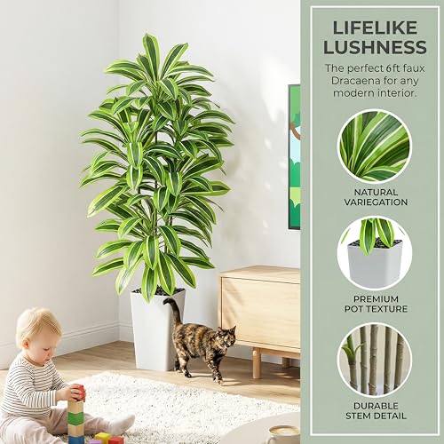 Artificial Dracaena Tree：6FT Faux Silk Tropical Yucca Floor Trees Realistic Fake Green Plant with Natural Wood Trunk & Lifelike Leaves for Home Office Decor Indoor & Outdoor (6FT,1-Pack,White) - color: Light Green – White Pot, size: 6FT