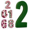 Leinuosen 12inch Dry and Wet Floral Foam Numbers Blocks Green Foam Blocks for Fresh and Artificial Flowers for Weddings Birthday Flower Arrangement Craft Project Garden Decoration(Number 2) - style: Number 2