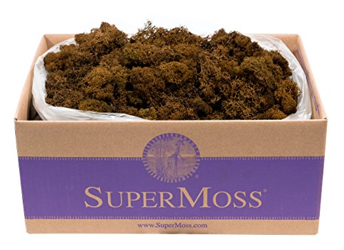Super Moss (23095 Reindeer Moss Preserved, Brown, 3lbs - color: Brown, size: Appx. 3 lb Bulk Case