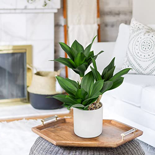 Hollyone Large Artificial Agave Plants Fake Three-Head Agave Succulent Plant Potted 15" Faux Plant in White Pot Succulent Aloe Plant Indoor for Desk Modern Home Decor - color: Style 2