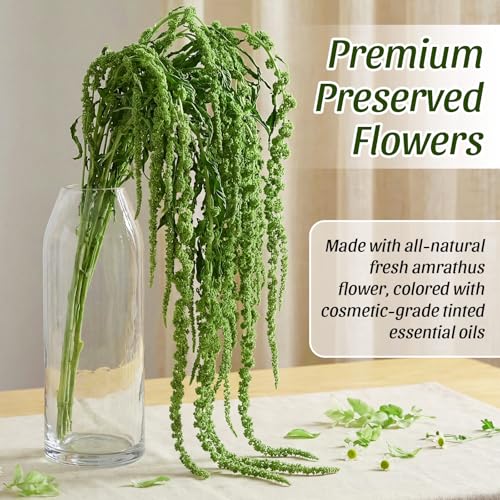 Suncalla Forest Green Spring Natural Dried Amaranthus Hanging Flowers Amaranthus Artificial Flowers for Wedding Arch Bouquet Floral Garland Wall Home Decoration (23 Inch,12 Pcs) - color: Forest Green
