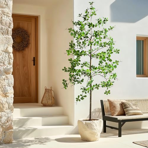 Erimda Faux Black Olive Tree 6ft, Faux Plants Indoor Large Tall Tree Artificial Shady Lady Tree with Natural Wood Trunk & Realistic Leaves, Fake Olive Plant for Home Office Indoor Decor - color: Green, size: 6ft