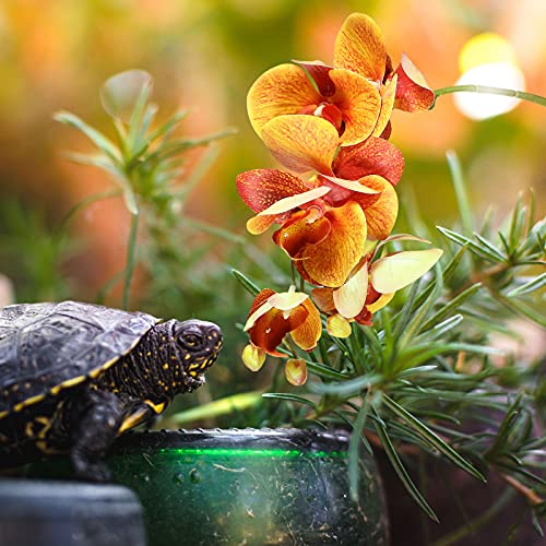 Chuangdi 2 Pieces Artificial Phalaenopsis with Suction Cups Terrarium Plant Decoration Reptile Habitat Plant Decor for Hermit Crab Lizards Geckos Snake Reptile (Purple, Yellow) - color: Purple, Yellow, style: Gradient