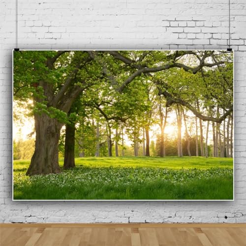 Leowefowa 10x6.5ft Spring Backdrop Rural Forest Trees Backdrops for Photography Blooming Flowers Green Grassland Nature Vinyl Photo Background Kids Adults Outdoor Travel Portraits Studio Props - size: 10x6.5ft