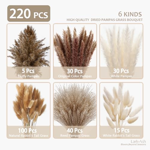 220 Stems Dried Pampas Grass Decor-White Pampas Grass,Brown Pampas,Bunny Tails Grass,Fluffy Pompas.Rustic Flower Bouquets for Wedding, Home Decor,Table Centerpiece,Apartment and Boho Decor - size: 220 Pcs