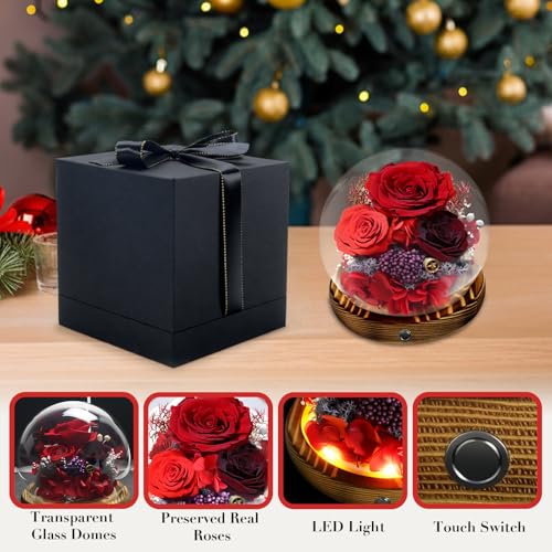 Preserved Flower Red Rose in Glass, Eternal Roses Gifts for Women, Mom, Girlfriend, Wife, Her on Christmas, Valentine's Day, Mother's Day, Birthday, Anniversary