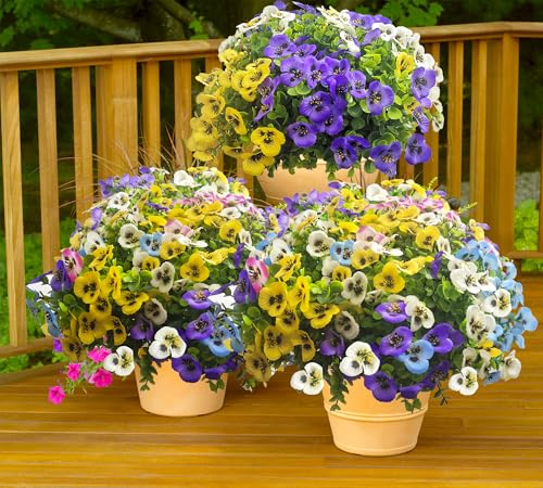 Artificial Flowers for Outdoors Fake Plants, 12pcs Fake Flowers Artificial Plants Outdoor UV Resistant,Silk Faux Flowers Shrubs Greenery Plants for Porch Garden Patio Window Box Decor - color: Mixed 5 Color, size: 12