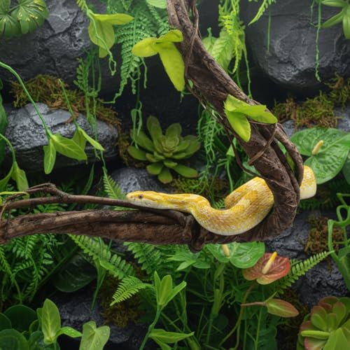 Suncalla 5 Pcs Artificial Bendable Tree Branches for Decoration Fake Trunk Garland Twigs Leaves Cherry Blossom Grape Vines for Wall Hanging Front Door Reptile Habitat Decoration (35in,Natural) - color: Natural, size: 35in