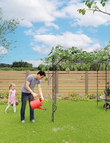 79.53" Metal Garden Arch Trellis, Dome/Flat Top Climbing Plant Support Arbor, Heavy Duty 20mm Steel Grape Trellis for Vine, Flower, Wedding Ceremony & Outdoor Garden Decor