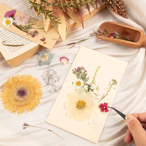140pcs Dried Pressed Flowers Bulk, Natural Fall Pressed Dried Flowers with Tweezer for DIY Crafts Resin Mold Candles Cake Bridal Scrapbooking Supplies - size: Elegant