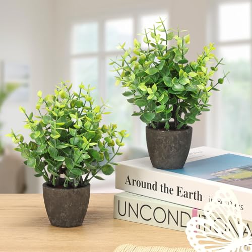 FAVOWREATH 2 Pack Fake Plants Ceramic Mini Artificial Greenery Potted Plants for Home Decor Office Decor Room Decor Farmhouse Decor Indoor Table Bathroom Decor - color: 2 Black