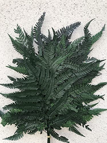 Preserved Real Ferns Dried Tips Stems Wedding Garlands Home Decorations Bouquets Flower Arrangements Wall Hanging (Dark Green) - color: Green