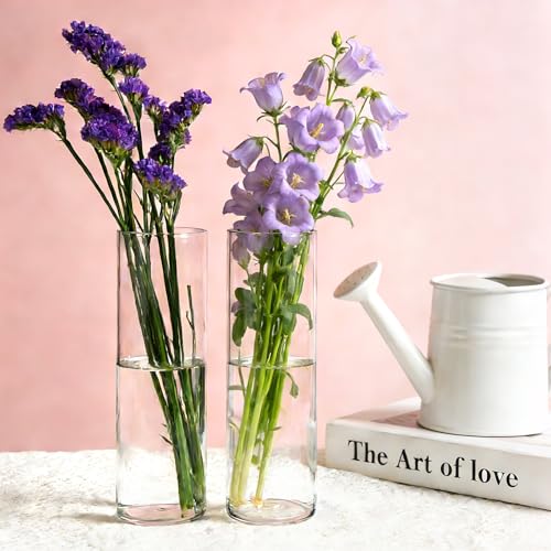 16 Pack Glass Cylinder Vase, 7.67" H×2.36" W Clear Vases for Centerpieces, Flower Vases for Bouquet,Hurricane Vase Ideal for Wedding Table Centerpieces, Floating Candles & Bouquet Arrangements - size: Smooth-16PCS