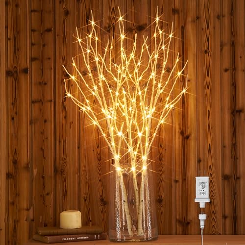 Hairui Lighted Birch Branches Plug in with Timer 30IN 150 LED Fairy Lights, White Willow Branch Lights for Christmas Fireplace Room Vase Decoration Indoor Outdoor Use (Vase Excluded) - style: White Birch+Warm White 1set