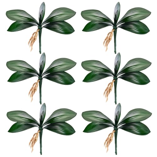 Chuangdi 6 Pcs 8 Inch Artificial Orchid Leaves, Faux Phalaenopsis Orchid Leaves with Stems,Green Orchids Leaf for Floral Arrangement, Vase Filler, Wedding & Home Decor, DIY Flower - size: 8 Inch